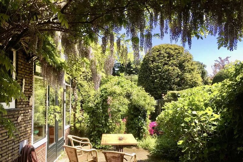 CLASSIC HOME: Oasis Near Amsterdam, Beach, Formula 1, +6 bikes