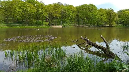 Weald Country Park