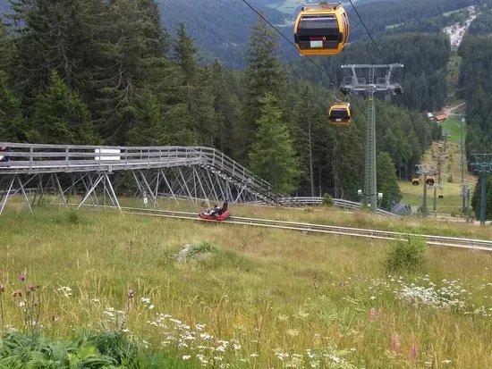Alpin Bob