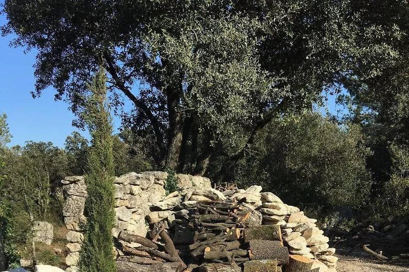 Charming, authentic cabanon all to yourself on almost 7000 m2 of land