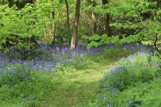 Pendeford Mill Nature Reserve