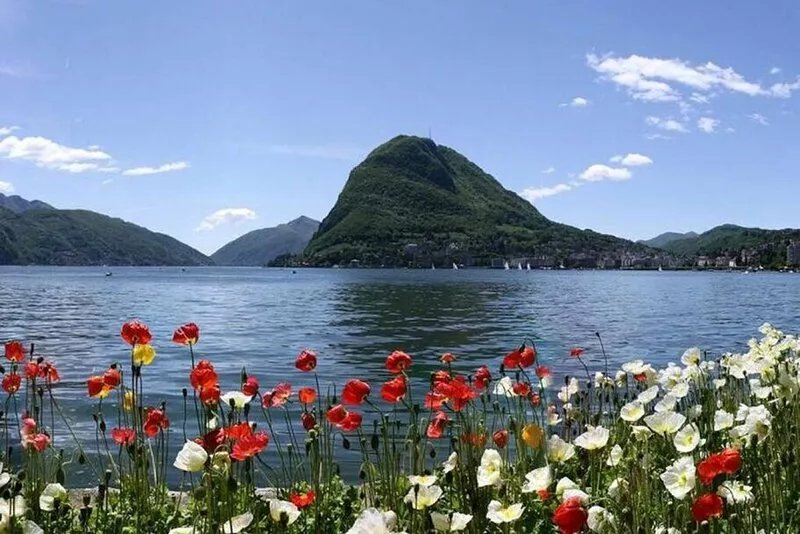 Delightful two-bedroom apartment in residential neighborhood, Savosa - GIRASOLE