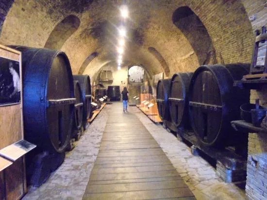 Museo di Storia dell'Agricoltura e Artigianato