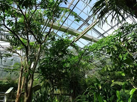Jardin du Conservatoire Botanique National de Brest