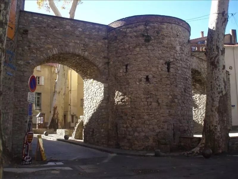 Ceret Centre -Sun-Filled Apt, mountain views with A/C