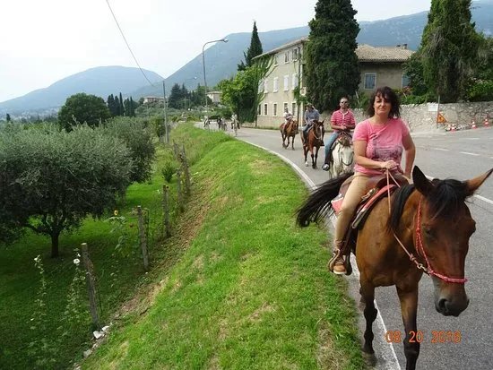Paradiso Ranch