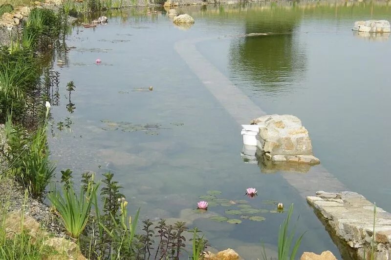 Country farmhouse with large organic swimming-pool and garden