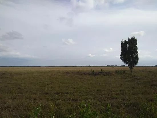 National park Dwingelderveld