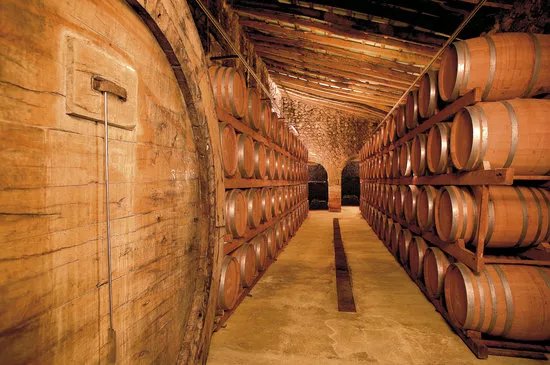 Bodega Ribas