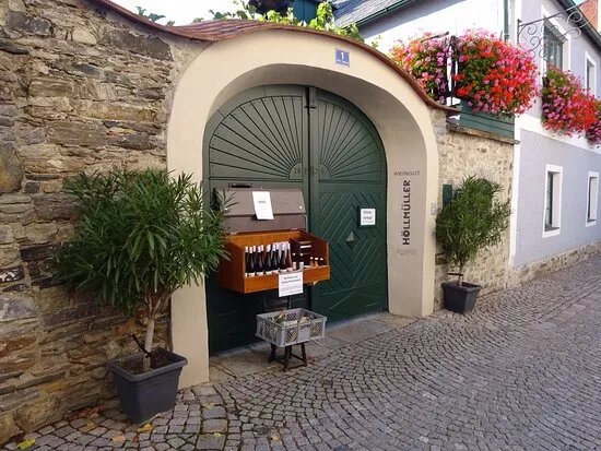 Weingut-buschenschank Florian Hollmuller "flott"