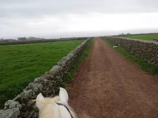 Basalto Horse Experience