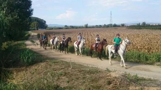 Hipica Begur Excursions a Caballo