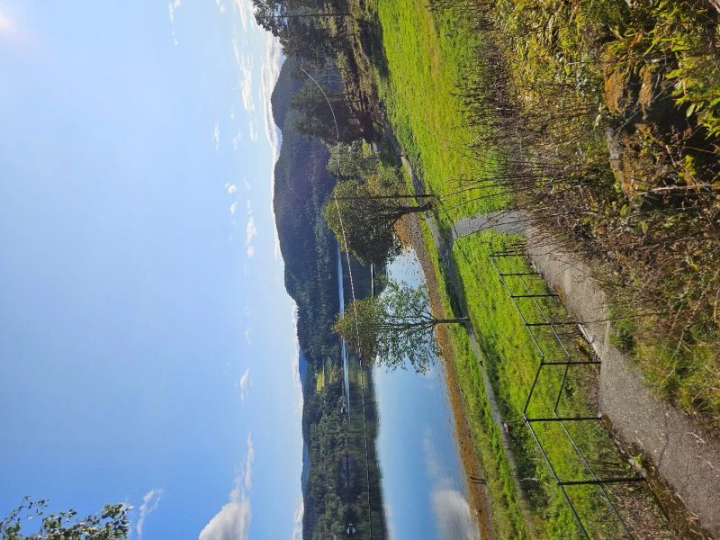 Sjobua Asenfjord