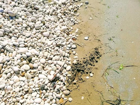 Spiaggia di giache bianche