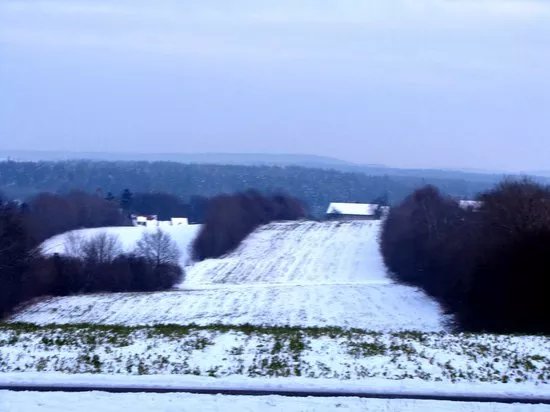 Waldhufensiedlung