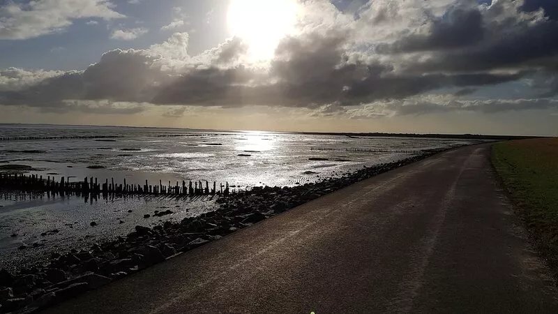 Nice, bright apartment right on the North Sea coast