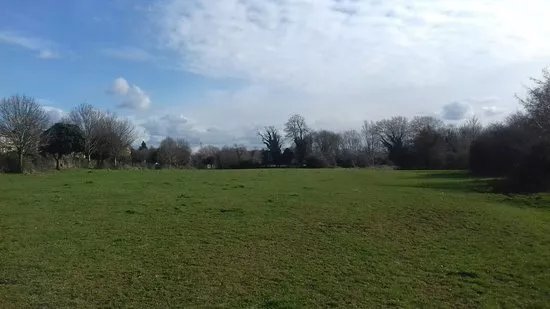 Purwell Meadows Nature Reserve.