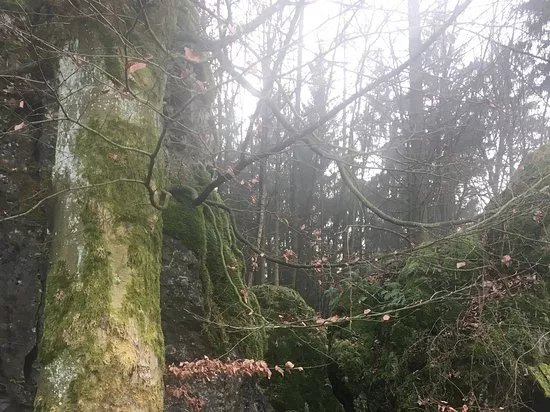 Druidenhaine