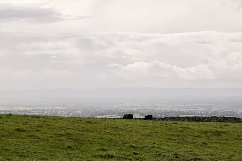 DOWN THE RABBIT HOLE, pet friendly, with a garden in Congresbury