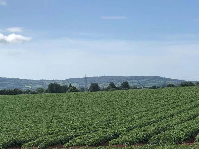 Lovely cabin with country views in popular Somerset village.