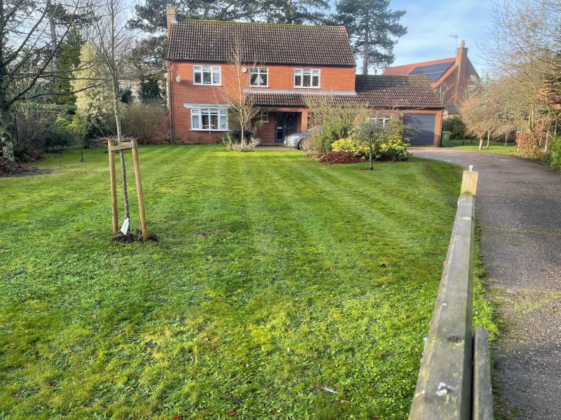 Harp Garden, Fakenham, Norfolk