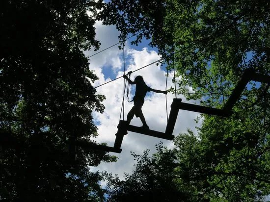 Wild Wood Adventure