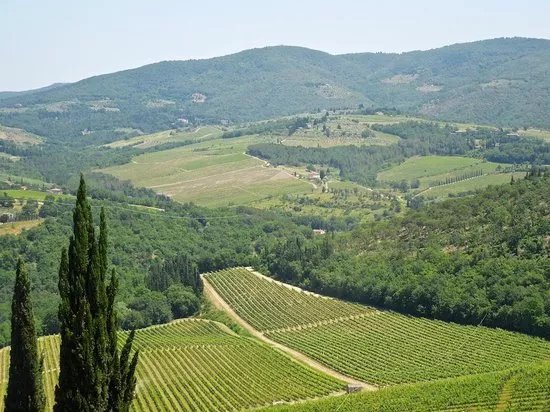 Castello Di Verrazzano