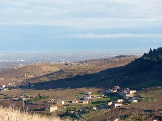 Domaine de La Merlette