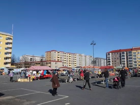 Tammelantori