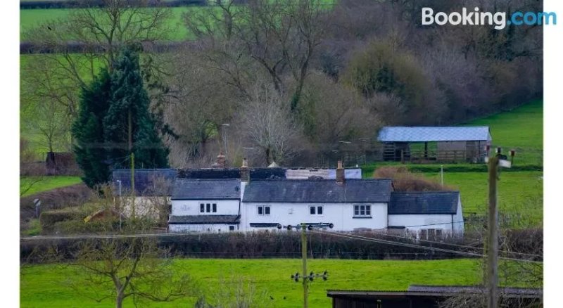 Cosy Quirky Cottage