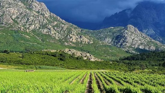Domaine d'Alzipratu
