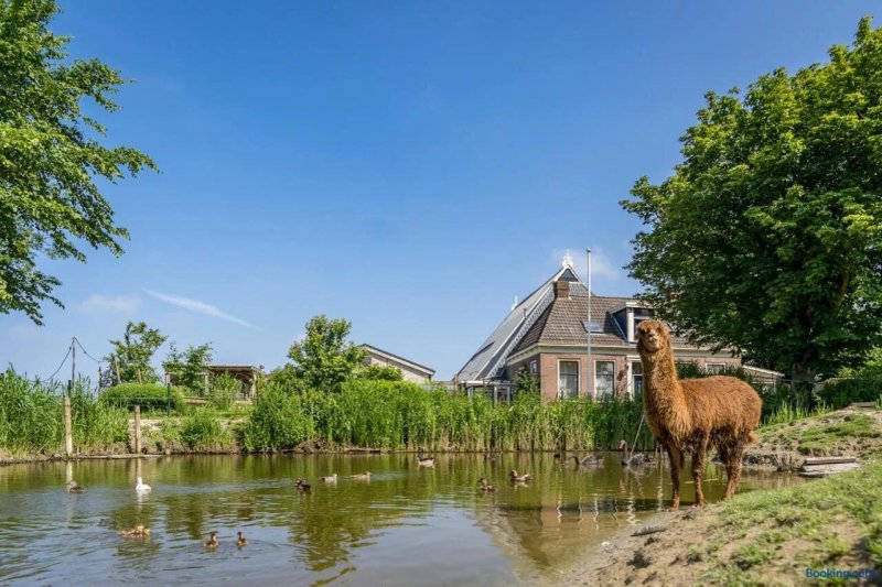 Hoeve Noordveld