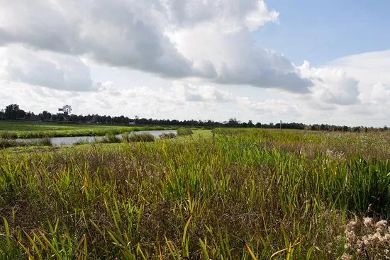 National Park De Alde Faenen