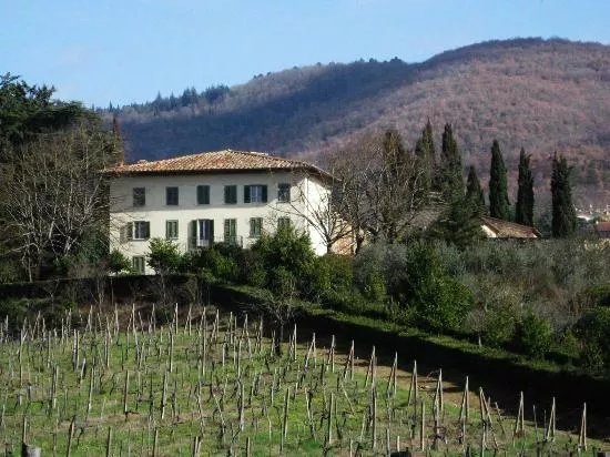 Fattoria Il Muro