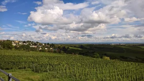 Weinrast mit Weitblick