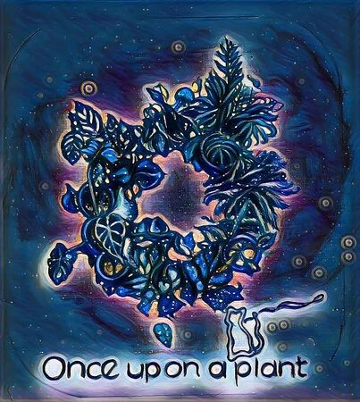 Once Upon A Plant