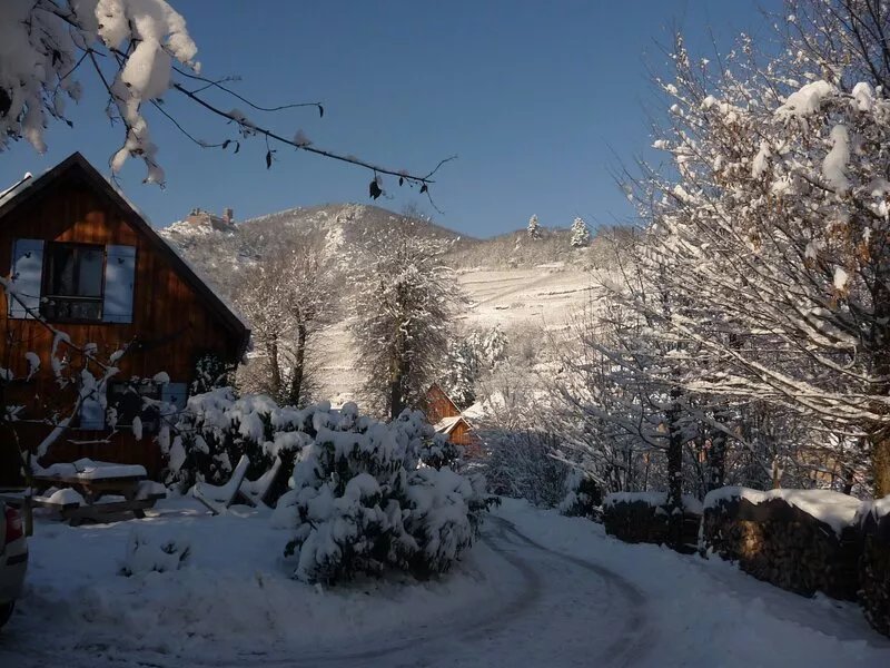Independent lodging in a huge private park in Ribeauville