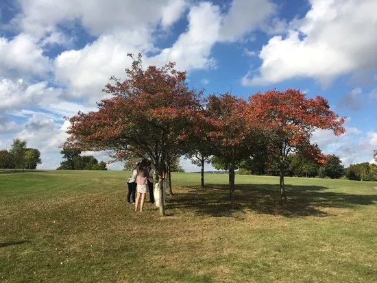 Bearsted Golf Club