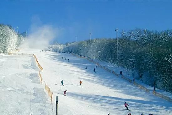Hohe Wand Wiese