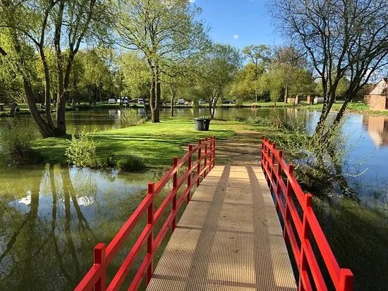 Pondwood Fisheries