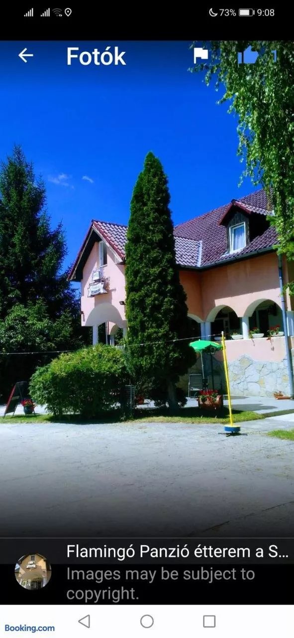 Panzió Flamingó Etterem