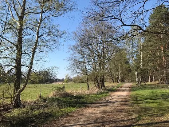 Klein Buenstorfer Heide