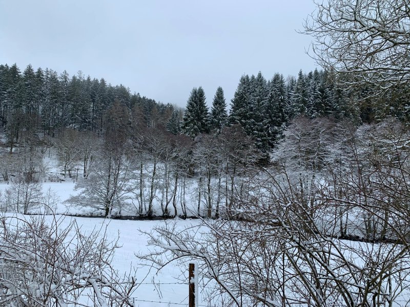 Residenzpark Willingen