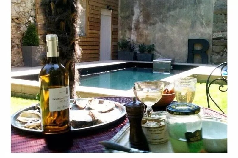 Carcassonne: village house with swimming pool 2 steps from the Canal du Midi