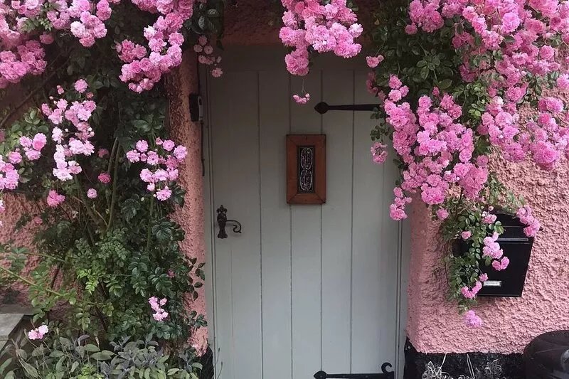 17th Century character cottage in pretty Devon village