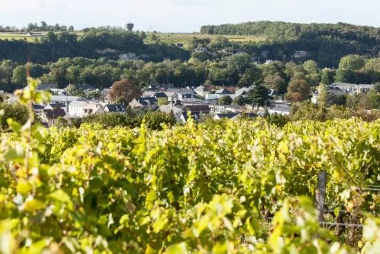 Domaine Vincent Careme