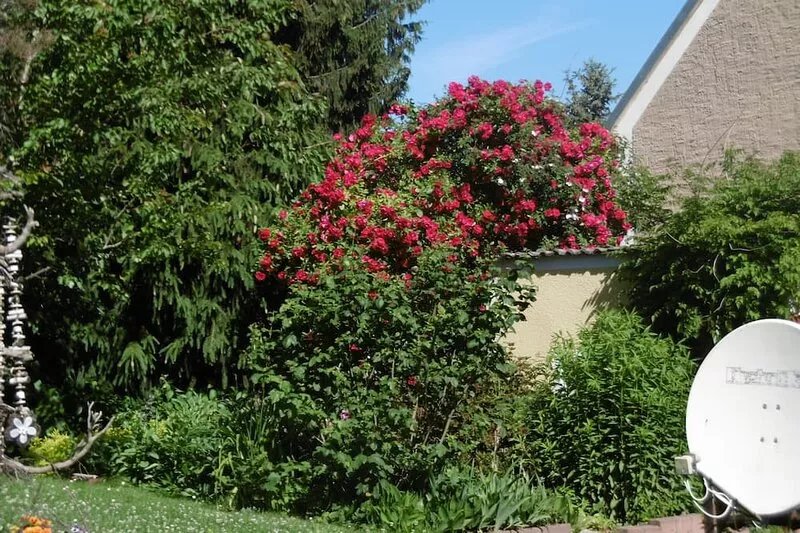 Comfortable house in a quiet location near Meissen