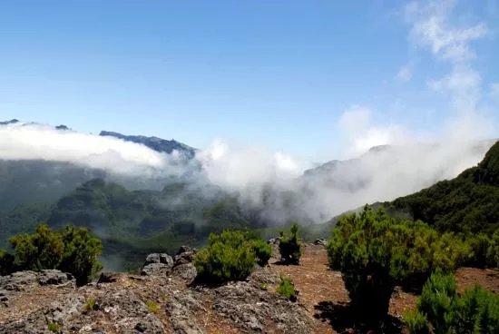Pico Ruivo do Paul da Serra