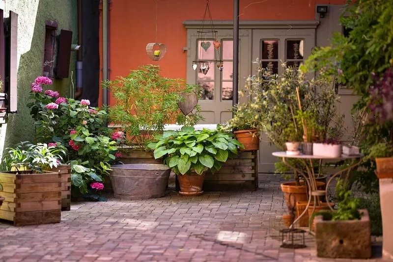 Cosy and quiet gîte with a paved courtyard planted with flowers, 5 minutes from