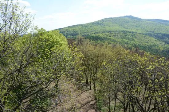 Wiezyca Mountain Observation Tower